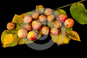 Walnuts and ripe wild apples with yellow autumn leaves isolated on black background