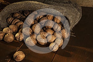 Walnuts on a rustic old wooden table. walnuts on a wooden table. Side view.