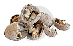 Walnuts in shell on isolated background