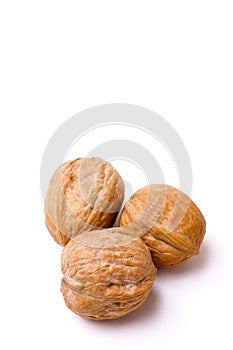 Walnuts in Shell Isolated on White