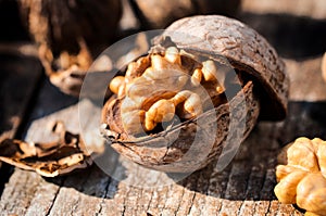 Walnuts in shell