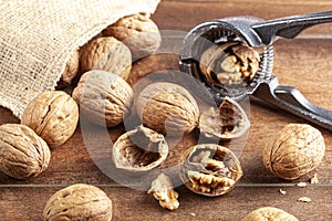 Walnuts in shell with nut cracker on wooden background