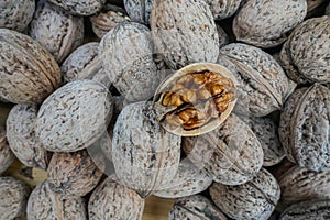 Walnuts in Shell with One Open Nut Close Up Texture Background