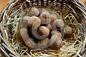Walnuts In Shell Scattered On A Wooden Swarf Inside A Homemade Wicker Pot