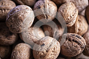 Walnuts in shell, walnut hock, cracked walnuts, close-up.