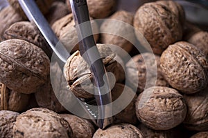 Walnuts in shell, walnut hock, cracked walnuts, close-up.