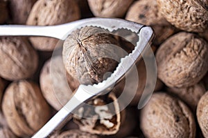 Walnuts in shell, walnut hock, cracked walnuts, close-up.