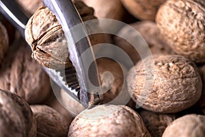 Walnuts in shell, walnut hock, cracked walnuts, close-up.