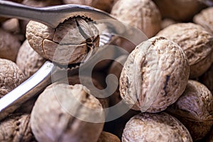 Walnuts in shell, walnut hock, cracked walnuts, close-up.