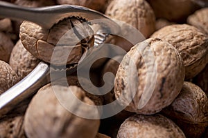 Walnuts in shell, walnut hock, cracked walnuts, close-up.
