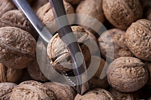 Walnuts in shell, walnut hock, cracked walnuts, close-up.