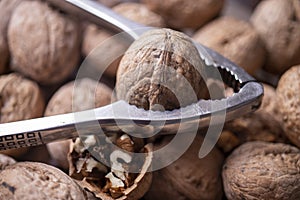 Walnuts in shell, walnut hock, cracked walnuts, close-up.