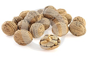 Walnuts in shell on white background
