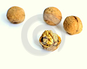 Walnuts shell at white background