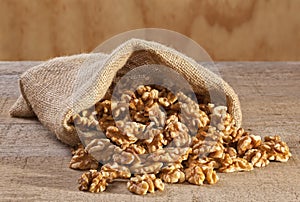 Walnuts Spilling from a Sack