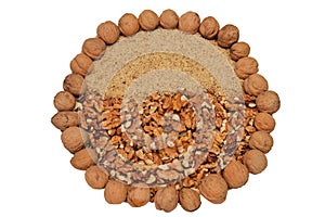 Walnuts are a tree nut belonging to the walnut family