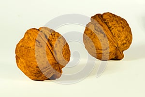 Walnuts twins in shell