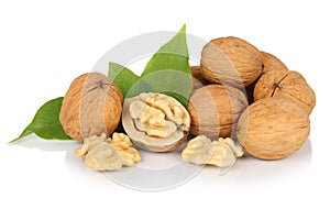 Walnuts walnut fresh nuts nut nutshell isolated on white