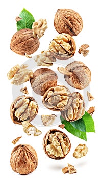 Walnuts, walnut kernel and cracked walnut flying in the air on white background