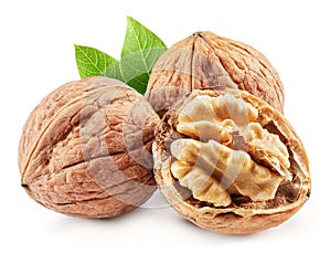 Walnuts, walnut kernel and green leaves isolated on white background