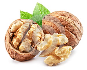 Walnuts, walnut kernel and green leaves isolated on white background