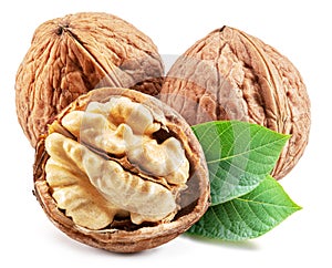 Walnuts, walnut kernel and green leaves isolated on white background