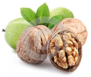 Walnuts and walnuts in green husk with leaves isolated on white background