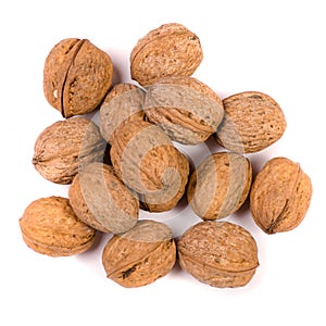 Walnuts on white background