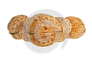 Walnuts on white background