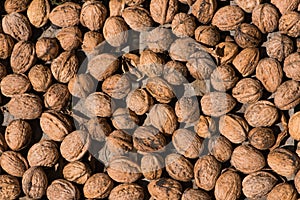 Top view of many walnuts
