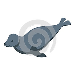 Walrus animal icon isometric vector. Ice pole exploration