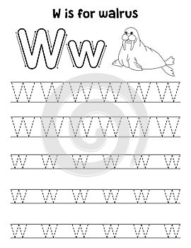 Walrus Animal Tracing Letter ABC Coloring Page W