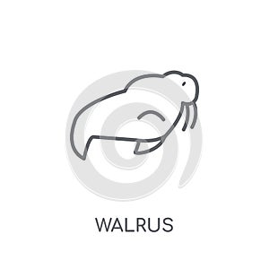 Walrus linear icon. Modern outline Walrus logo concept on white