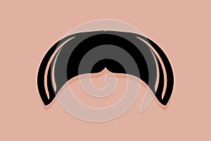 Walrus Moustache Icon Vector