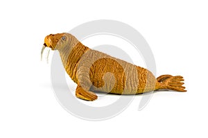 Walrus toy isolated