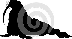 walrus vector silhouette black
