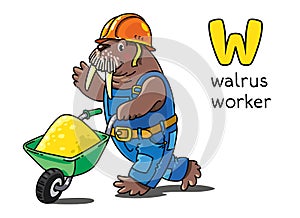 Walrus worker. Alphabet W. Animals professions ABC