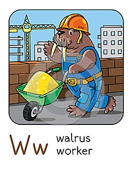 Walrus worker. Alphabet W. Animals professions ABC