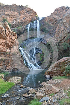 Walter Sisulu National Botanical Garden, Johannesburg, South Afr