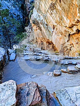 Walters wiggles angels landing