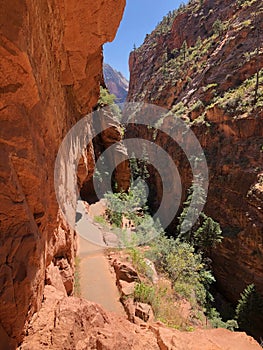 Walters wiggles hike going to Angels Landing photo