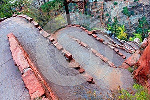 Walters Wiggles Zion National Park photo