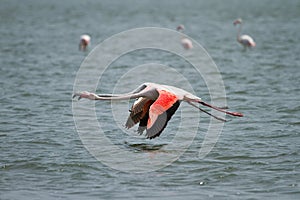 Walvis Bay, Namibia