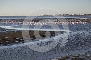 Walvis Bay, Namibia