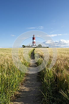 Waway leading to the Happisburgh Lighthouse through the scenic field photo