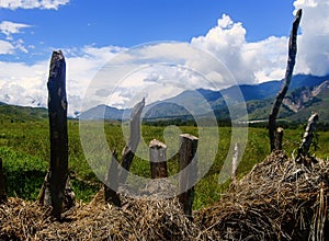 Wamena Landscape view, img