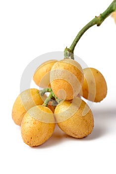 Wampee fruit