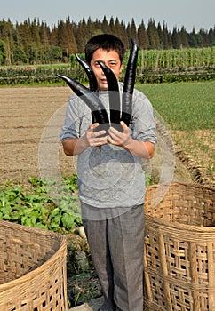 Wan Jia, China: Man with Eggplants