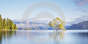 Wanaka Tree Lake Wanaka New Zealand. Beautiful Colorful Mountain Lake Landscape