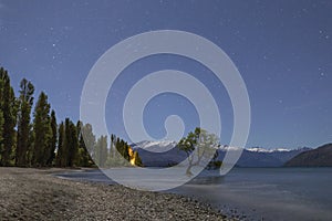 That Wanaka Tree and Lake Wanaka shoreline, Roys Bay, Wanaka, New Zealand